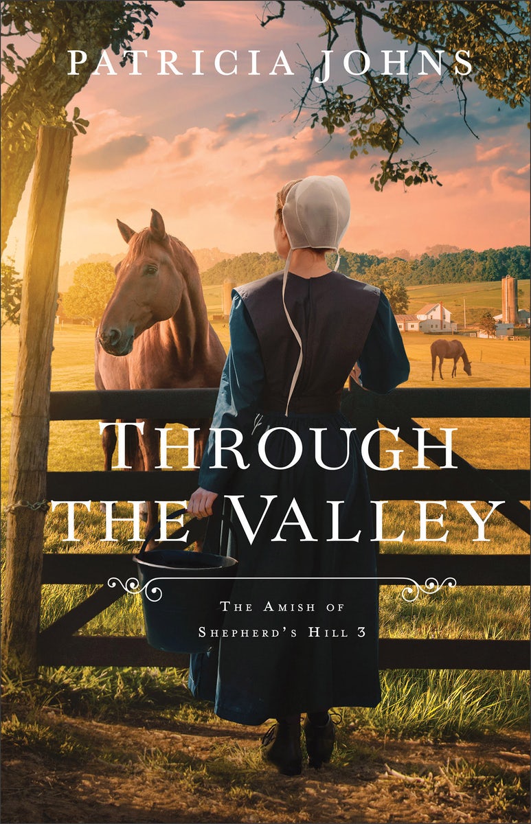 Cover image for Through the Valley, isbn: 9780764244193