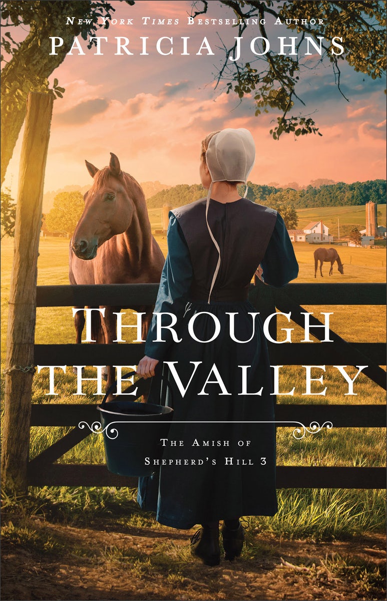 Cover image for Through the Valley, isbn: 9780764244193