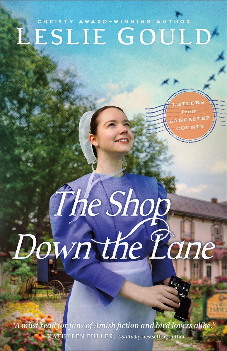 Cover image for The Shop Down the Lane, isbn: 9780764244223