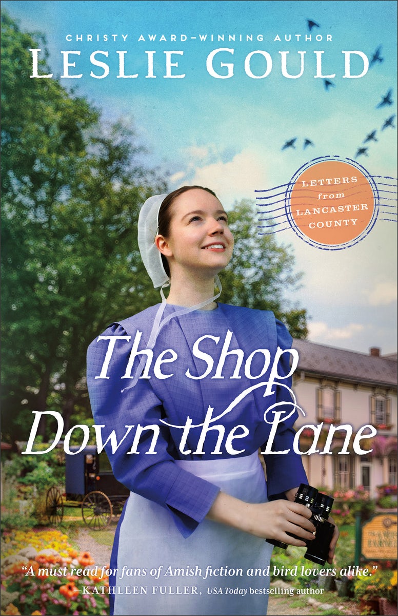 Cover image for The Shop Down the Lane, isbn: 9780764244223