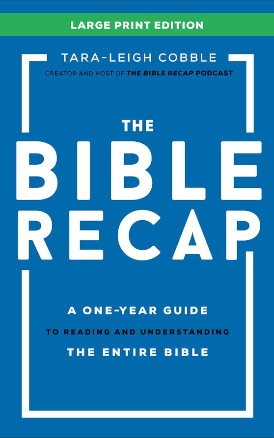 Cover image for The Bible Recap, isbn: 9780764244384