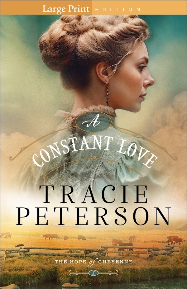 Cover image for A Constant Love, isbn: 9780764244469
