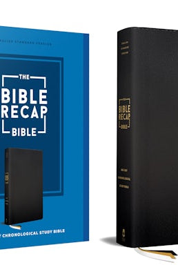 Cover image for The Bible Recap 365-Day Chronological Study Bible, isbn: 9780764245848