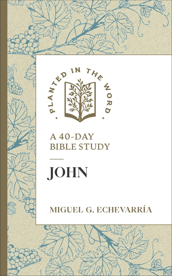 Cover image for John, isbn: 9780764247231