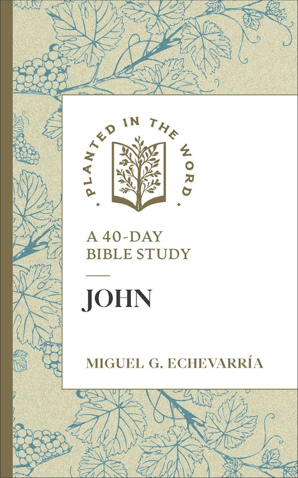 Cover image for John, isbn: 9780764247231