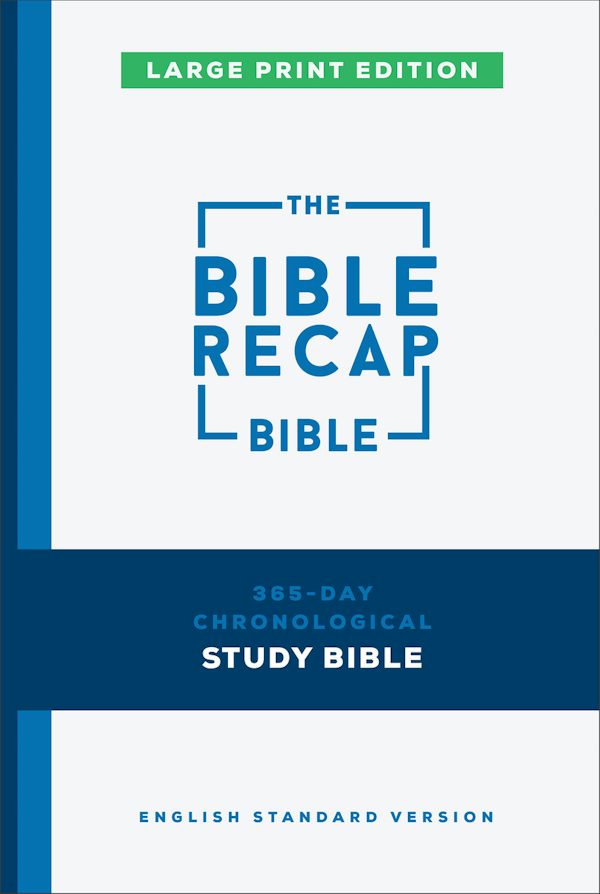 Cover image for The Bible Recap 365-Day Chronological Study Bible, Large Print, isbn: 9780764247521