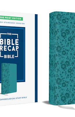 Cover image for The Bible Recap 365-Day Chronological Study Bible, Large Print, isbn: 9780764247538