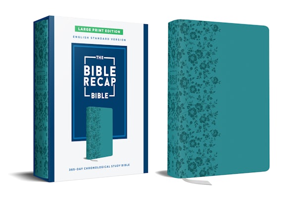 Cover image for The Bible Recap 365-Day Chronological Study Bible, Large Print, isbn: 9780764247538