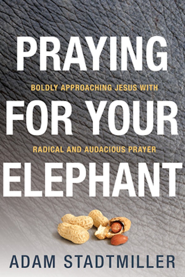 Cover image for Praying for Your Elephant, isbn: 9780781411455