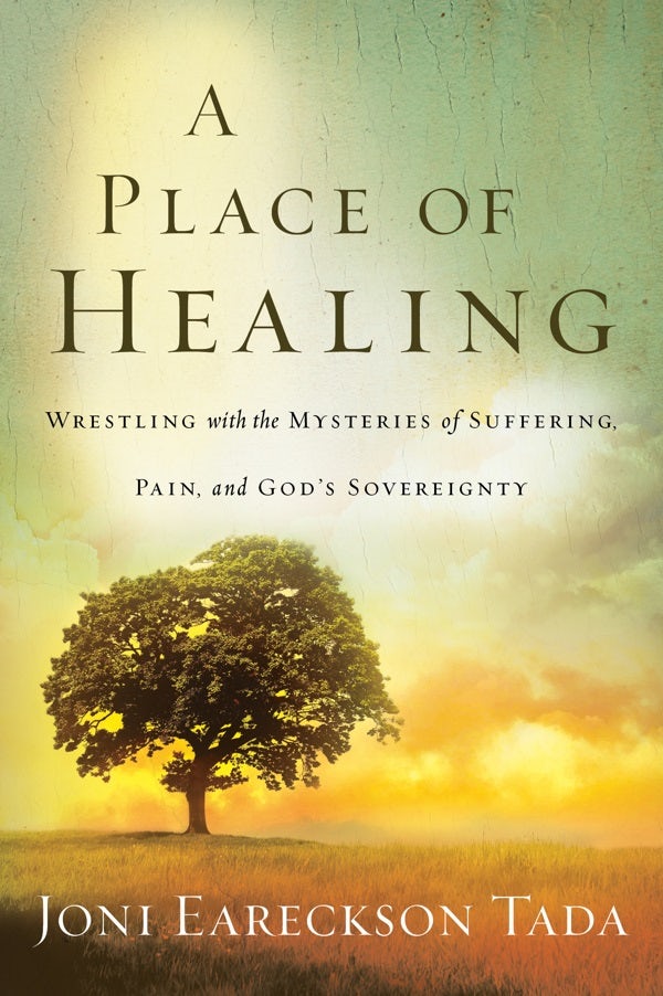 Cover image for A Place of Healing, isbn: 9780781412544