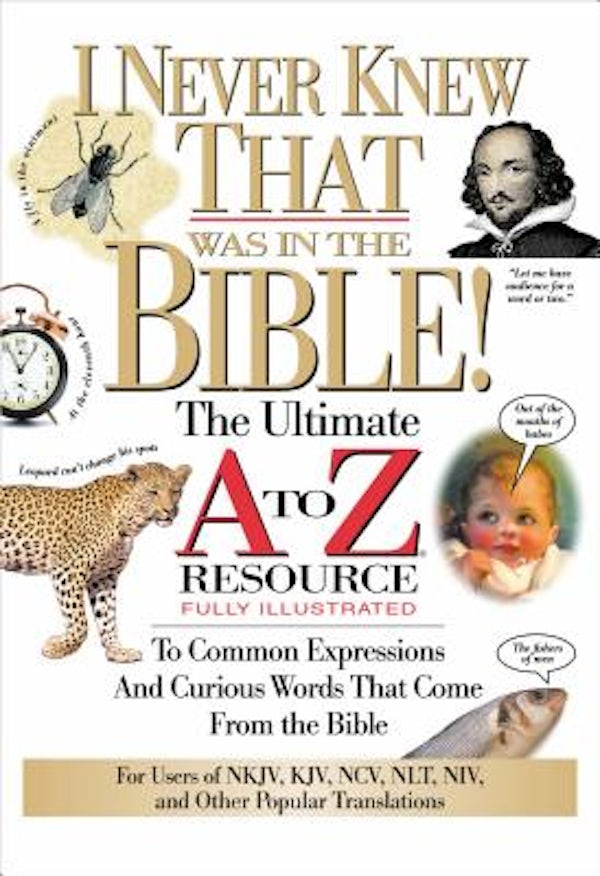 Cover image for The I Never Knew That Was in the Bible, isbn: 9780785213789