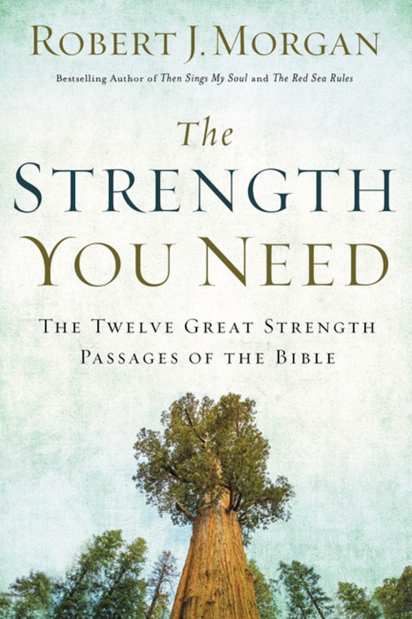 Cover image for The Strength You Need, isbn: 9780785216360