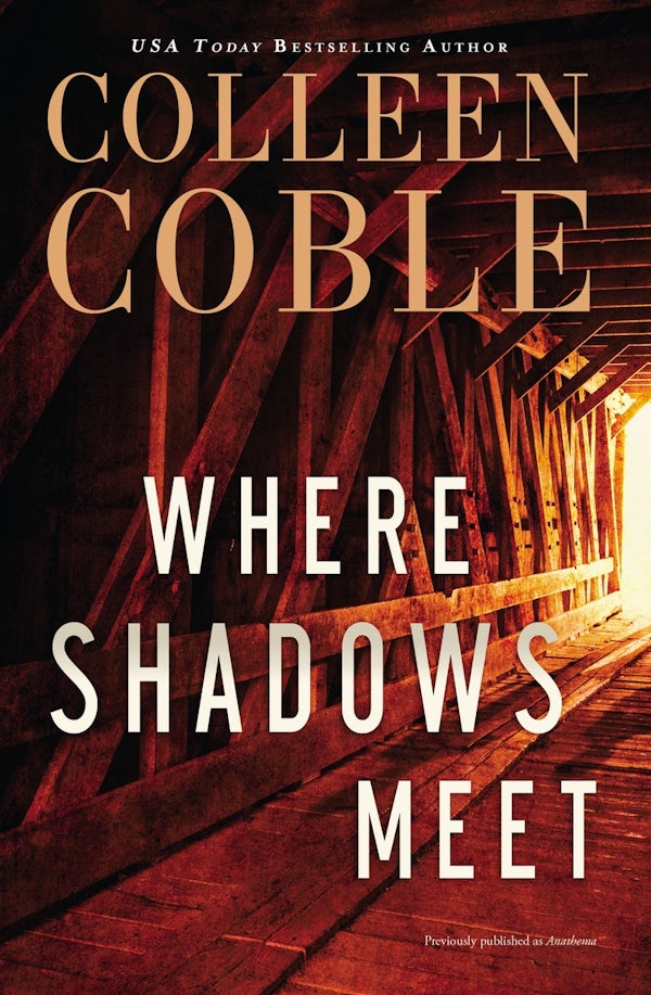 Cover image for Where Shadows Meet, isbn: 9780785216650