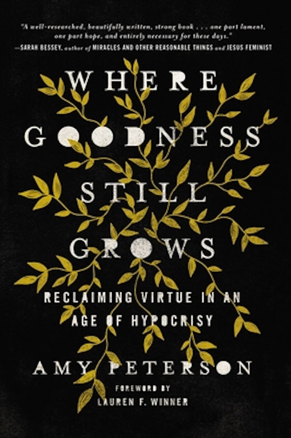 Cover image for Where Goodness Still Grows, isbn: 9780785225669