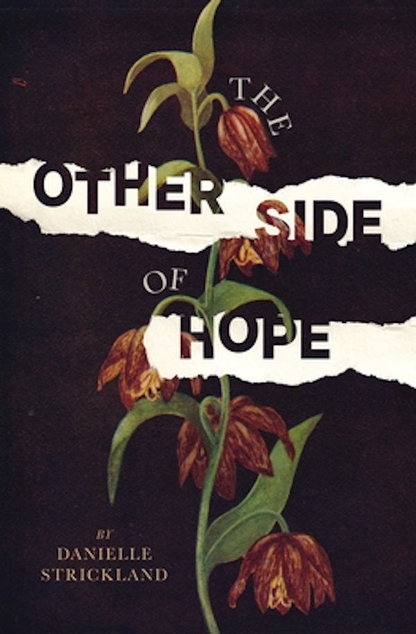 Cover image for The Other Side of Hope, isbn: 9780785230175