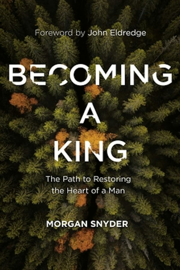 Cover image for Becoming a King, isbn: 9780785231851