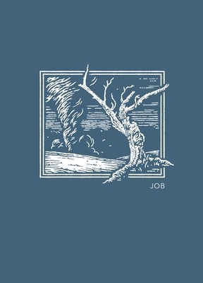 Cover image for La NET Abide Bible Journal - Job, Paperback, Comfort Print Softcover, isbn: 9780785237068