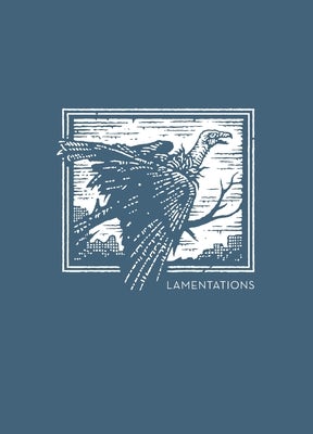 Cover image for La NET Abide Bible Journal - Lamentations, Paperback, Comfort Print Softcover, isbn: 9780785237174