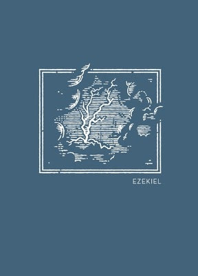 Cover image for La NET Abide Bible Journal - Ezekiel, Paperback, Comfort Print Softcover, isbn: 9780785237204