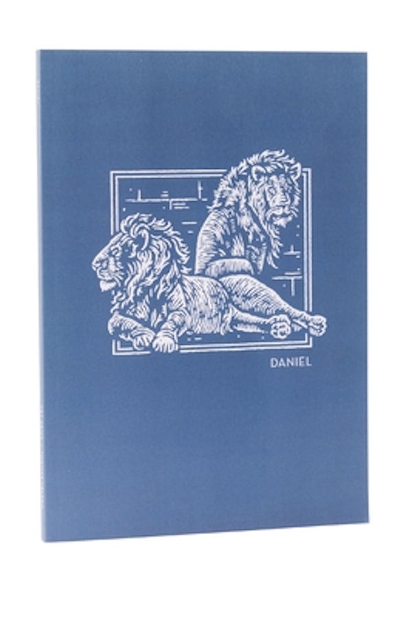 Cover image for Net Abide Bible Journal - Daniel, Paperback, Comfort Print, isbn: 9780785237228