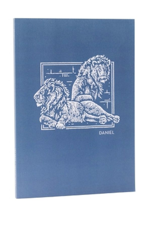 Cover image for Net Abide Bible Journal - Daniel, Paperback, Comfort Print, isbn: 9780785237228