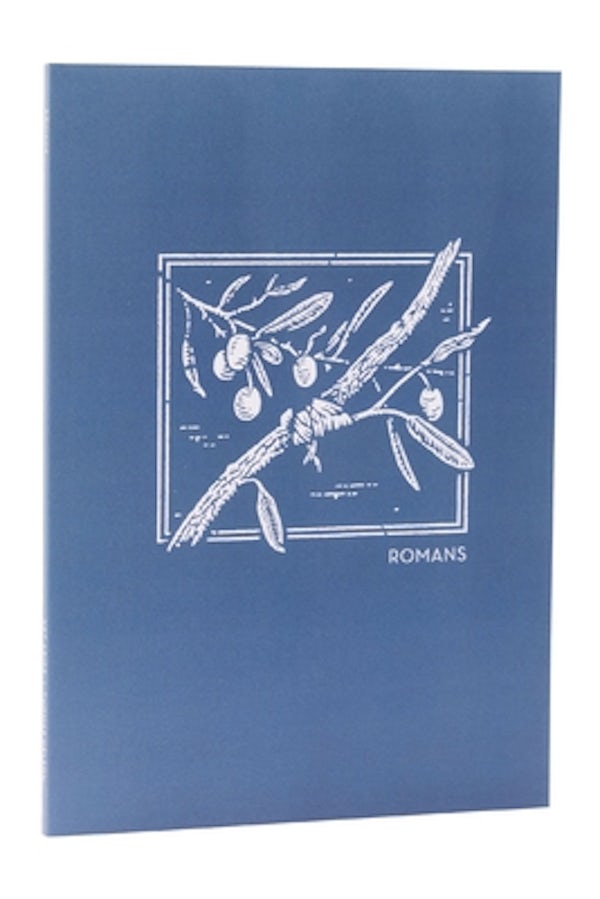 Cover image for Net Abide Bible Journal - Romans, Paperback, Comfort Print, isbn: 9780785237389