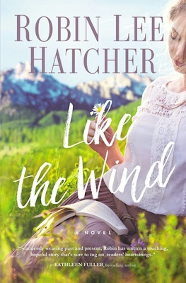 Cover image for Like the Wind, isbn: 9780785241447