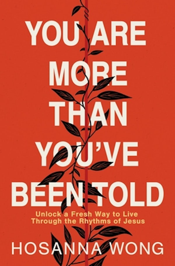 Cover image for You Are More Than You've Been Told, isbn: 9780785243502