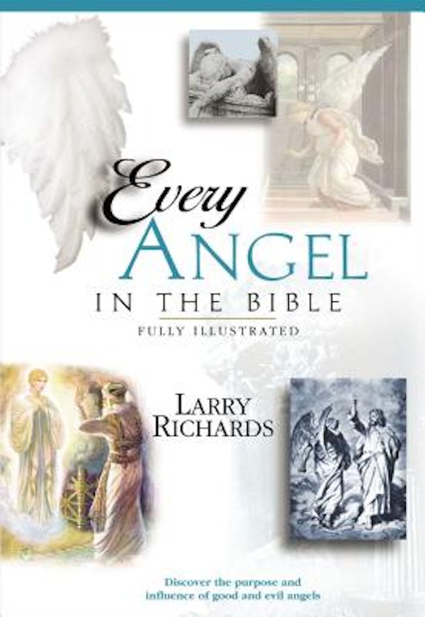 Cover image for Every Good and Fallen Angel in the Bible, isbn: 9780785245339