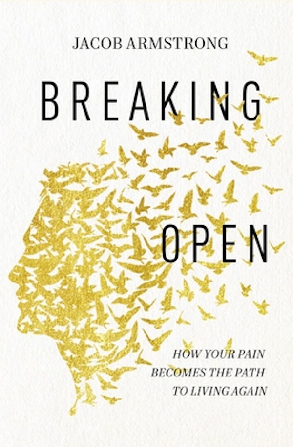Cover image for Breaking Open, isbn: 9780785258322