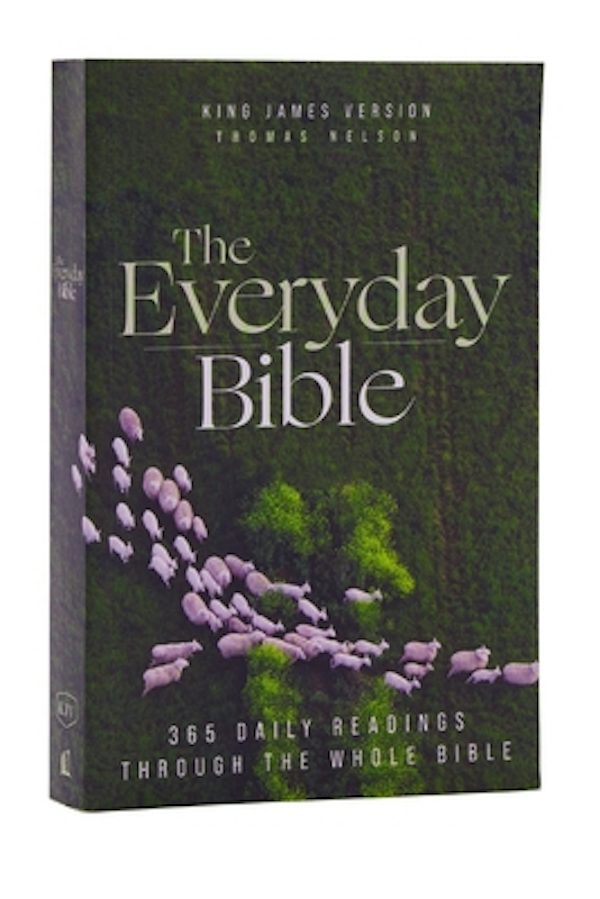 Cover image for Kjv, the Everyday Bible, Paperback, Red Letter, Comfort Print, isbn: 9780785261803