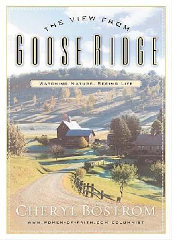 Cover image for The View from Goose Ridge, isbn: 9780785266556