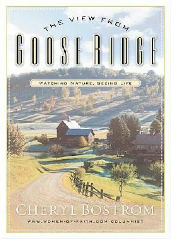 Cover image for The View from Goose Ridge, isbn: 9780785266556