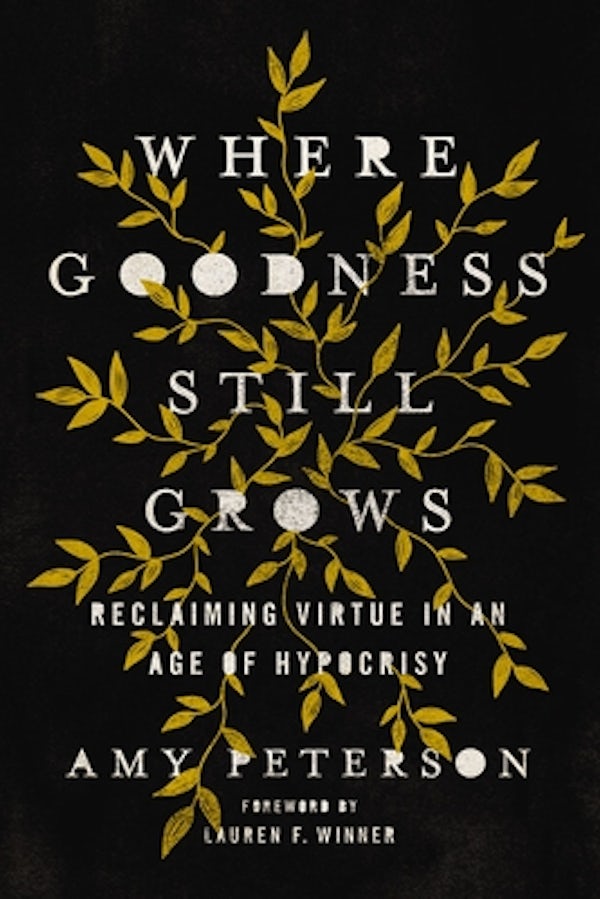 Cover image for Where Goodness Still Grows, isbn: 9780785290100