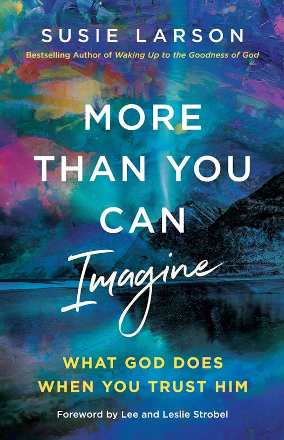 Cover image for More Than You Can Imagine, isbn: 9780785294689