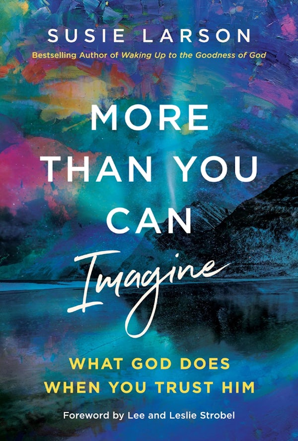 Cover image for More Than You Can Imagine, isbn: 9780785294689