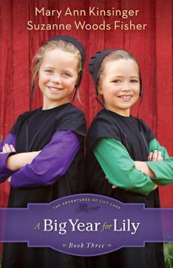 Cover image for Big Year for Lily, isbn: 9780800721343