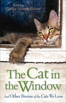 Cover image for The Cat in the Window, isbn: 9780800721800