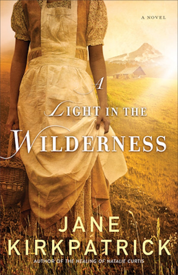 Cover image for Light in the Wilderness, isbn: 9780800722319