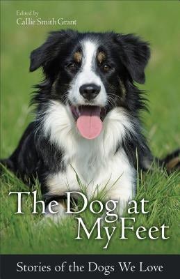 Cover image for The Dog at My Feet, isbn: 9780800723095