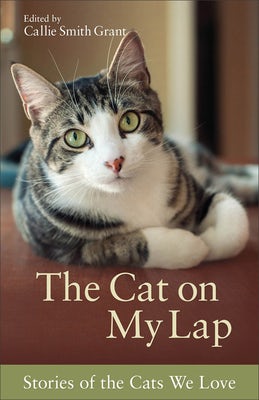Cover image for The Cat on My Lap, isbn: 9780800723101