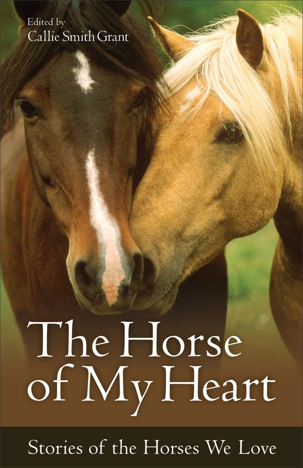 Cover image for The Horse of My Heart, isbn: 9780800723347