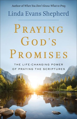 Cover image for Praying God's Promises, isbn: 9780800723897