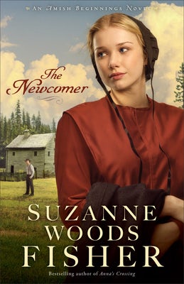 Cover image for The Newcomer, isbn: 9780800727499