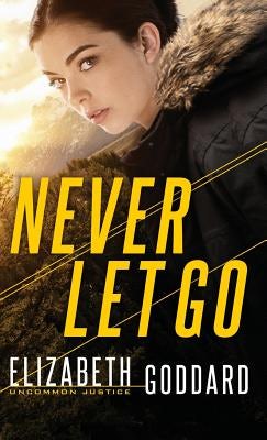 Cover image for Never Let Go, isbn: 9780800735654