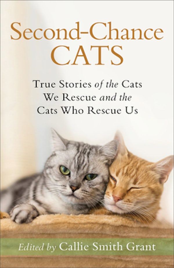 Cover image for Second-Chance Cats, isbn: 9780800735722