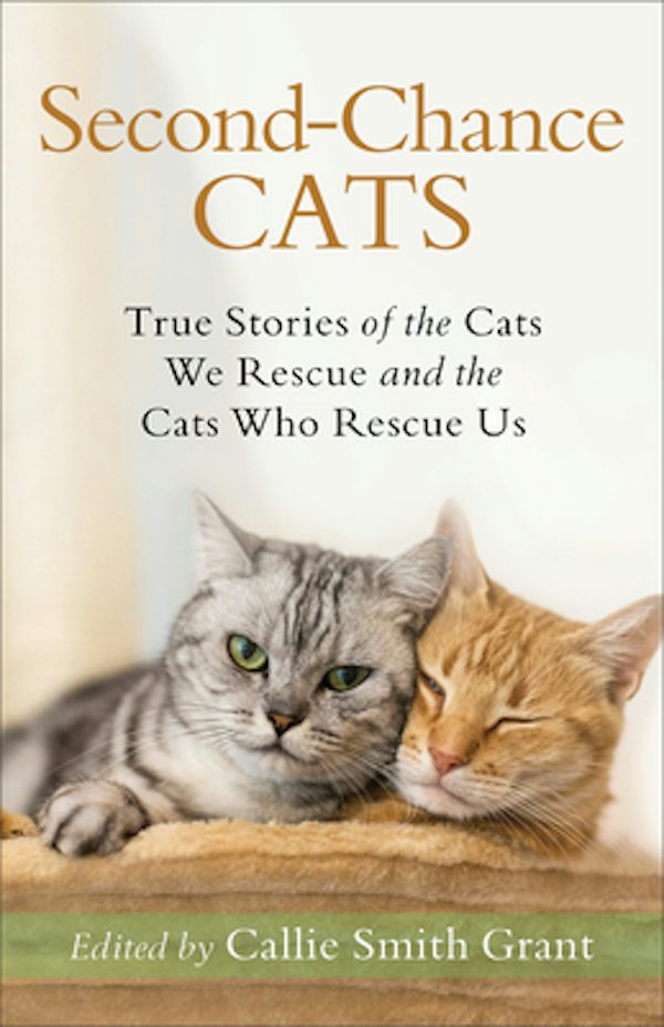 Cover image for Second-Chance Cats, isbn: 9780800735722