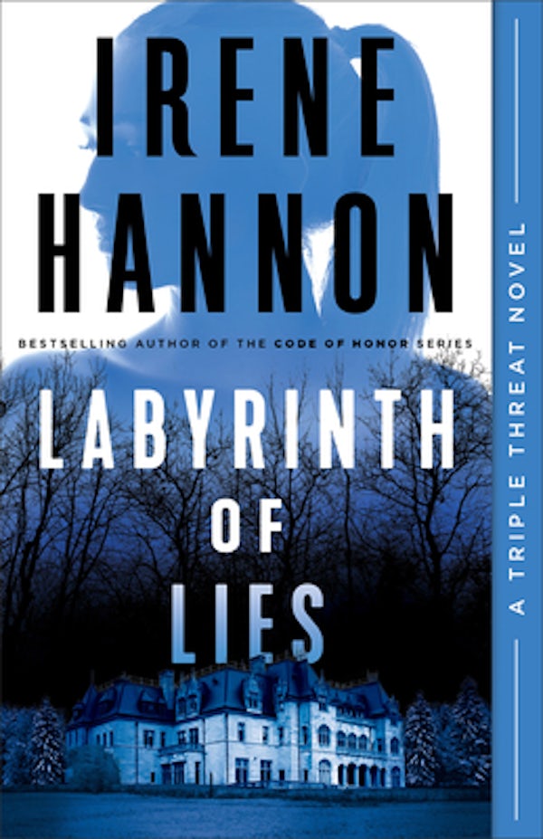 Cover image for Labyrinth of Lies, isbn: 9780800736187