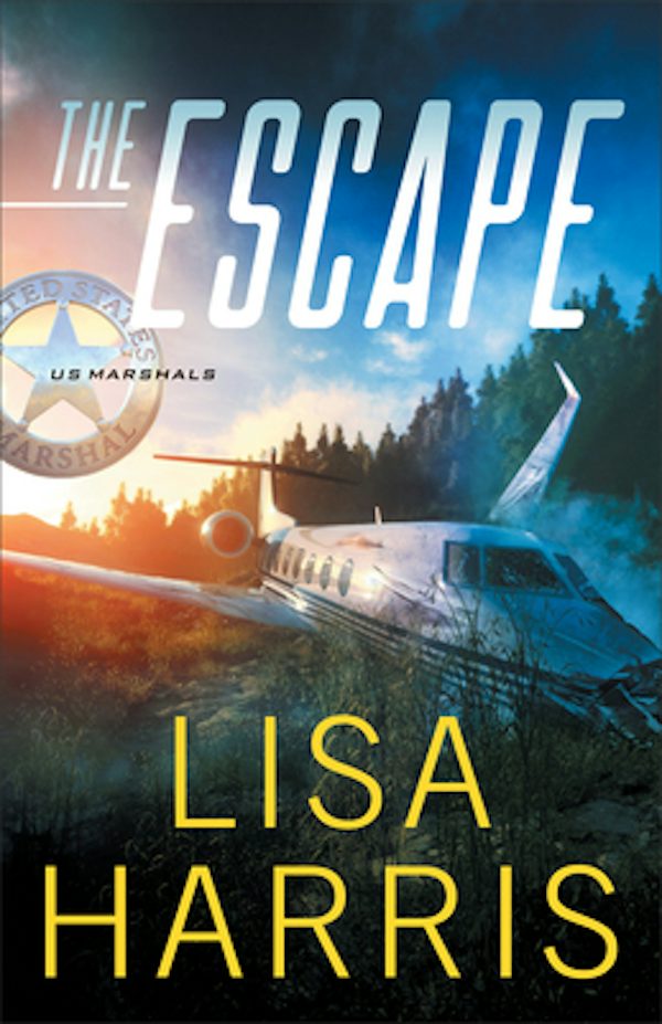 Cover image for The Escape, isbn: 9780800737306
