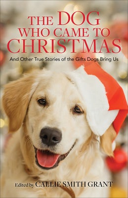 Cover image for The Dog Who Came to Christmas, isbn: 9780800737924